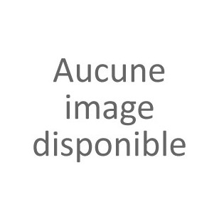 1 CENTIME EPI - 2000 - Pièce de monnaie en Acier - BE